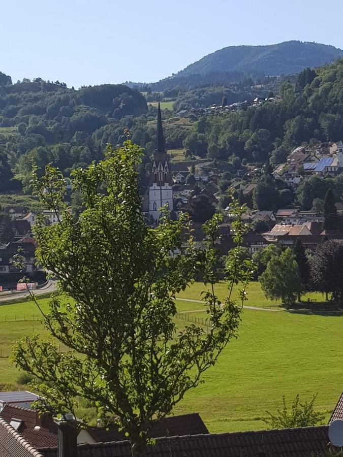 Schönau im SchwarzwaldWiesenblumeアパートメント エクステリア 写真