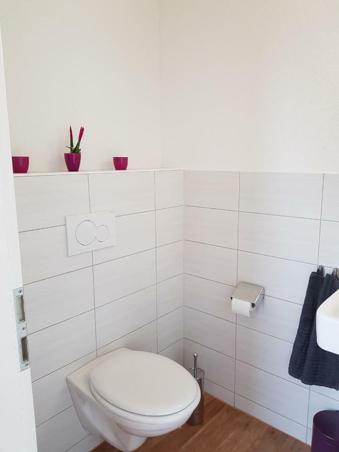 Schönau im SchwarzwaldWiesenblumeアパートメント エクステリア 写真
